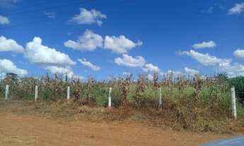 Imagem 4: ÁGIO CHÁCARA 2.000MTS TODA CERCADA