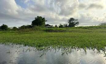 Imagem: Terrenos igarapé açu