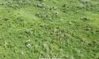 Imagem 4: Fazenda/Sítio/Chácara para venda possui 600000000 metros quadrados em Jardim Paraíso - Các