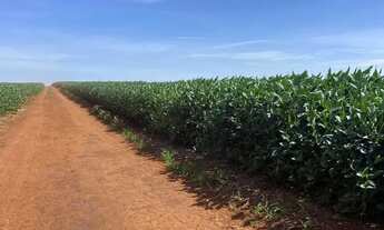 Imagem: Fazenda extra a venda no Goiás!!