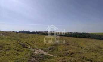 Imagem 3: Sitio com 22 alqueires na região de Cajuru-SP