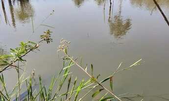 Imagem 6: Fazenda jaguar Fazenda / sítio com venda por R$2.700.000