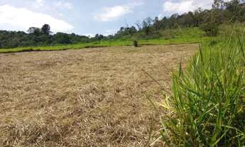 Imagem 5: TERRENO DE 1000M² EM SÃO ROQUE