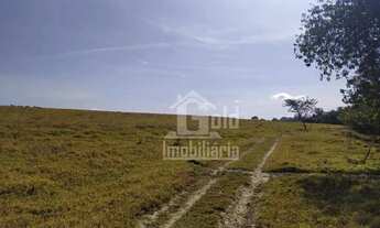 Imagem 6: Sitio com 22 alqueires na região de Cajuru-SP
