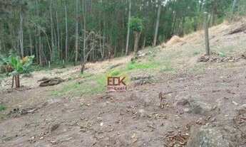 Imagem 4: Terreno à venda, 5379 m² por R$ 308.000,00 - Angola - Santa Branca/SP