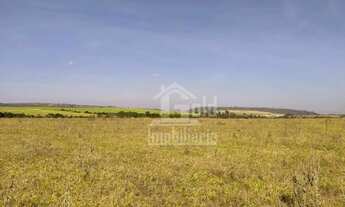 Imagem 7: Sitio com 22 alqueires na região de Cajuru-SP