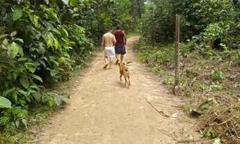 Imagem 3: Vendo terreno no tarumã comunidade Jeferson Perez