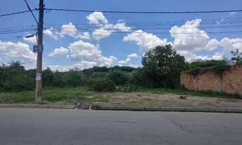Imagem 2: Alugo Terreno Plano - 2.000 m² - Petrovale, Betim (Rua Itália