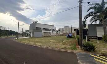 Imagem 2: TERRENO NO DAMAH II