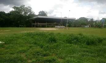 Imagem 6: Vendo ou alugo terreno com 15 mil m2 no Distrito 3