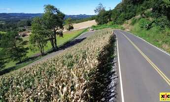 Imagem 2: Sítio / Chácara para Venda em Nova Petrópolis, Nove Colonias