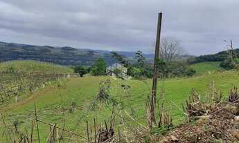 Imagem 7: Terra no interior de Monte Belo do Sul