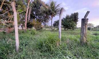 Imagem 3: Vendo Lote imperdível