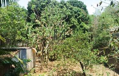 Imagem 3: Lote no Jardim Guanabara, Goiânia!