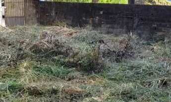 Imagem 5: AREA - CITY AMÉRICA - SP