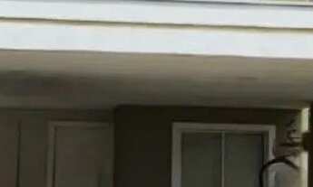 Imagem: Casa em condomínio fechado Village do bosque