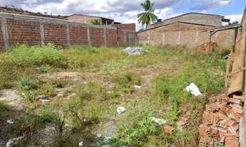 Imagem 5: Terreno - 15 x 30m - União dos Palmares-AL