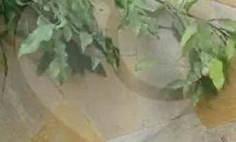 Imagem 2: Casa térrea com 3 quartos à venda ou para locação em Saúde - SP