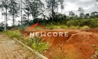 Imagem 6: Lote em Rua Jurerê - Emancipação - Parobé/RS