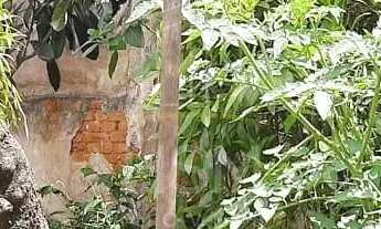 Imagem 7: Vende Terreno - 500m² - Nova Petropolis - São Bernardo do Campo/SP