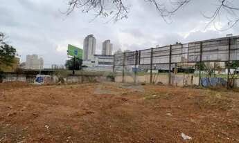Imagem 7: Terreno à venda e para alugar em Campinas, Jardim Bela Vista, com 1100 m²