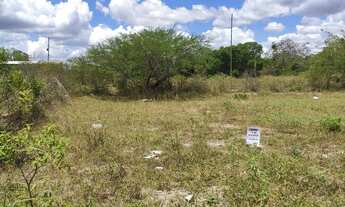 Imagem: VENDO ou TROCO LOTE 7 X 20