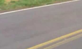 Imagem 5: Oportunidade Única: 4 Alqueires Mineiros às Margens da BR-365, com rio perene