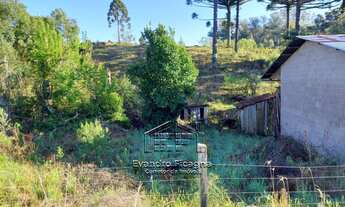 Imagem 5: Bento Gonçalves - Terreno Padrão - Vale dos Vinhedos