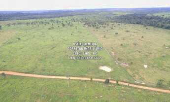 Imagem 7: 123 Alqueires pecuária e Lavoura