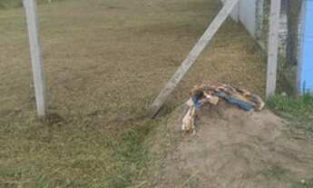 Imagem 2: Lote Top - próx. do mar ( Praia do Ervino) -Oportunidade