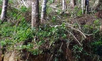 Imagem 4: TERRENO TERESÓPOLIS PRATA