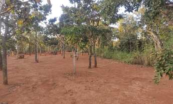 Imagem 4: Excelente oportunidade! Vendo ótima chácara no Bonsucesso