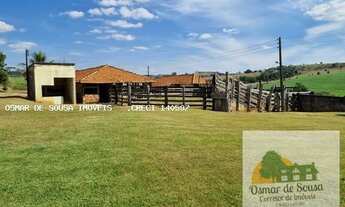 Imagem 7: Sítio de 12,7 Alqueires em Itapetininga