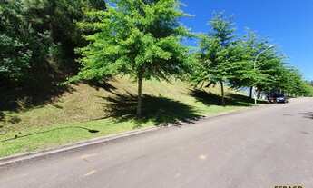 Imagem 3: GRAMADO - Terreno Padrão - Alphaville