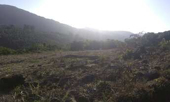 Imagem 4: Rolante - Terras / sítio/ Chácara 22.7 Hectares