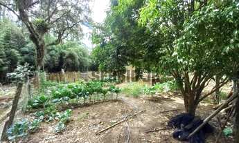 Imagem 7: Sítio com 2h, casa, galpão em Triunfo - Aceito casa em Canoas