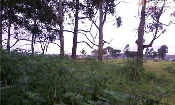 Imagem 3: Área para alugar, 56252 m² por R$ 118.000,00/mês - Parque Industrial Cumbica - Guarulhos/S