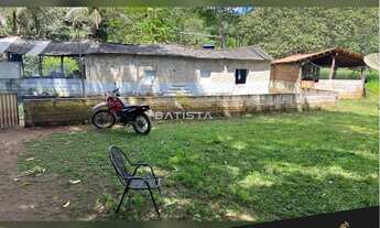Imagem 6: Fazenda de 100 alqueires, 56 km Palmas