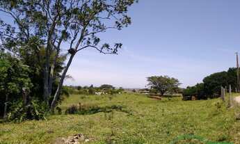 Imagem 3: Excelente Sitio Localizado em Sangão/SC