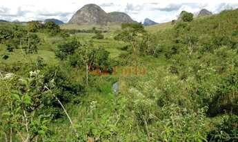 Imagem 7: Vende-se Fazenda 781ha para pecuária no sul da Bahia