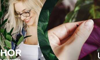 Imagem 4: Breve Lançamento LIVE 3 Suítes 140 m2