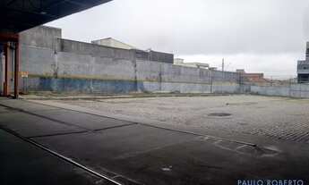 Imagem 7: GALPÃO - NOVA GERTI - SP