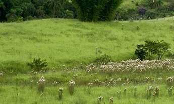 Imagem 3: G03-Lotes para chácara