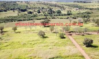 Imagem 7: Fazenda 11,26 alqueires - Pecuária leiteira - Uberlândia