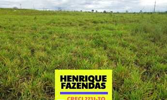 Imagem 7: Fazenda na região de Luzimangues dupla aptidão