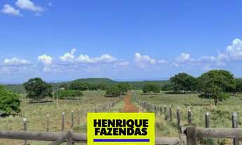Imagem 3: Fazenda na região de Luzimangues dupla aptidão