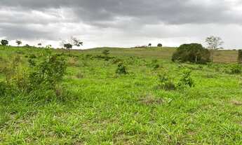 Imagem 3: Chácaras de 20 mil Mt em maripotaba 80 km de Goiânia