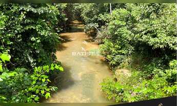 Imagem 2: Fazenda de 100 alqueires, 56 km Palmas