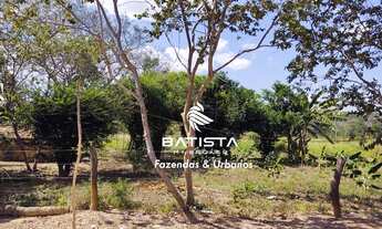 Imagem 3: Fazenda 70 Alqueires, 150 Km de Palmas