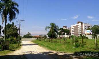 Imagem: Terreno para Venda em Colombo, Atuba